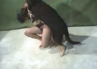 Doggie bestiality sex with a German dog