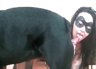Watch how a doggy is trying to fuck