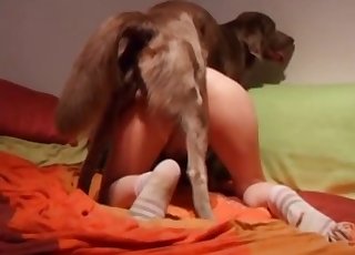 Sexy ass nicely penetrated by outstanding doggy