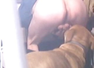 Doggy sniffing and fucking his round bootie