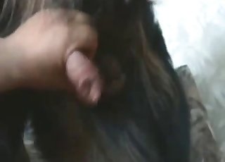 Doggy blows a load a nice and tasty load of cum