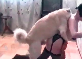 This brunette wears stockings and has bang-out with a dog