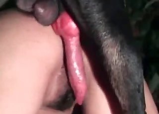 Black dog nicely pounds her tight wet cunt