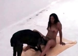 Extremely super-steamy sex with a sexy black mutt