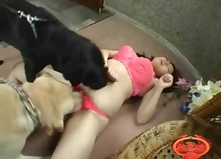 Black animal penetrated her wide-opened wet vagina