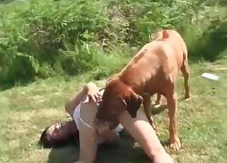 Brunette masturbates in front of a dog