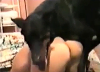 Zoo sex scene with a slutty lady who sucks hard