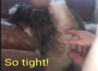 Wet and horny animal gets gaped by his dick