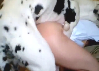 Horny dude gets his asshole fucked by a dog