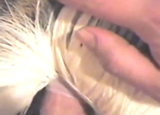 Close up
