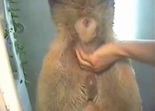 Horny zoophile guy lets this dog blast a big load