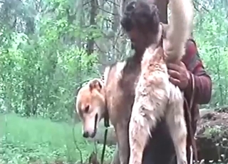 Brunette guy fingering a dog's hole outdoors