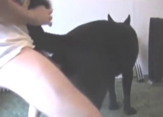 Some rough action with a guy who fucks dog