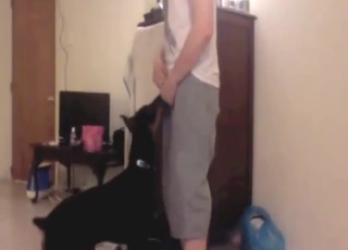 Trans zoophile porn with doggystyle banging