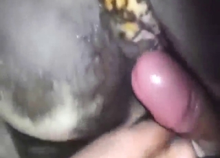 Dude is going to fuck a black dog's tight hole
