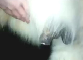 Happy pony porn movie with lots of hot action